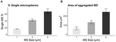 Biogenic Aggregation of Small Microplastics Alters Their Ingestion by a Common Freshwater Micro-Invertebrate